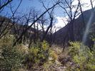photo thumbnail #5