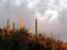 photo thumbnail #7