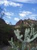 photo thumbnail #8