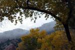 photo thumbnail #3