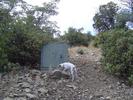photo thumbnail #5