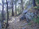 photo thumbnail #6