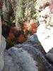 photo thumbnail #13