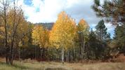 photo thumbnail #14