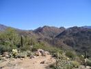 photo thumbnail #7
