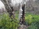 photo thumbnail #5