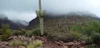 photo thumbnail #14