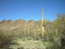 photo thumbnail #7