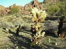 photo thumbnail #15