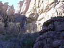 photo thumbnail #3