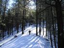 photo thumbnail #6