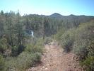 photo thumbnail #6