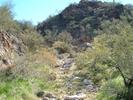 photo thumbnail #11