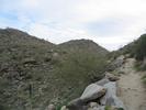 photo thumbnail #2