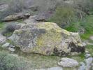 photo thumbnail #9