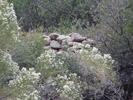 photo thumbnail #9