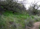 photo thumbnail #13
