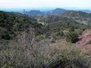 photo thumbnail #6