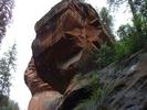 photo thumbnail #9
