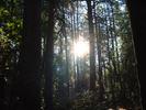 photo thumbnail #11