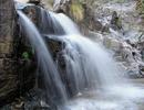 photo thumbnail #11