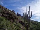 photo thumbnail #5