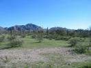 photo thumbnail #8