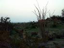 photo thumbnail #12
