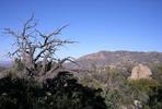 photo thumbnail #6