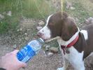 photo thumbnail #12