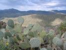 photo thumbnail #11