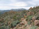 photo thumbnail #13
