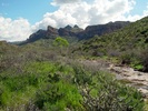 photo thumbnail #3