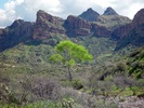 photo thumbnail #4