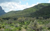 photo thumbnail #9