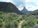 photo thumbnail #13