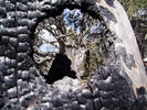 photo thumbnail #10