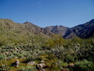 photo thumbnail #1