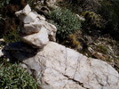 photo thumbnail #7