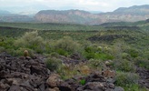 photo thumbnail #3