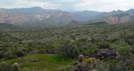 photo thumbnail #4