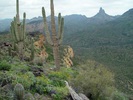 photo thumbnail #8