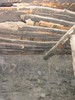 photo thumbnail #15