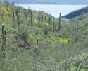 photo thumbnail #7