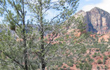 photo thumbnail #8