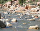 photo thumbnail #10