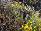 photo thumbnail #6