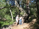 photo thumbnail #3