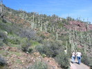 photo thumbnail #12