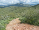 photo thumbnail #3